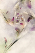 janet parke   winterberries by aartika fractal art d8ho0af