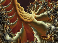 katherine bendtsen   sea life by aartika fractal art d8ho0e3