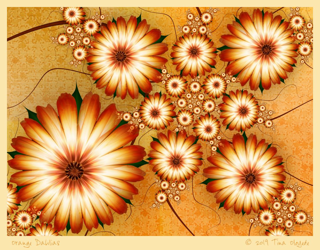 Orange Dahlias by Tina Oloyede