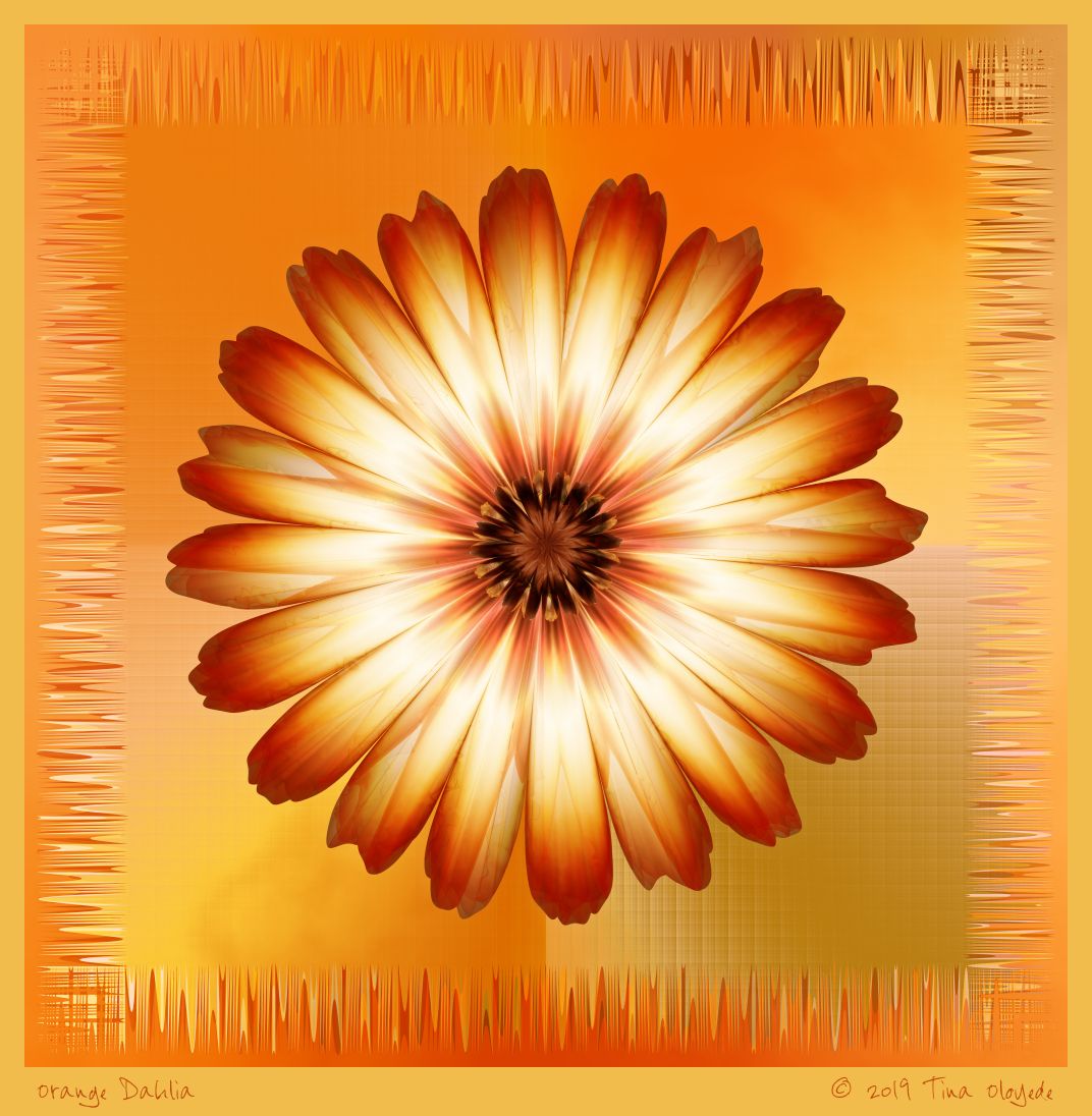 Orange Flower by Tina Oloyede